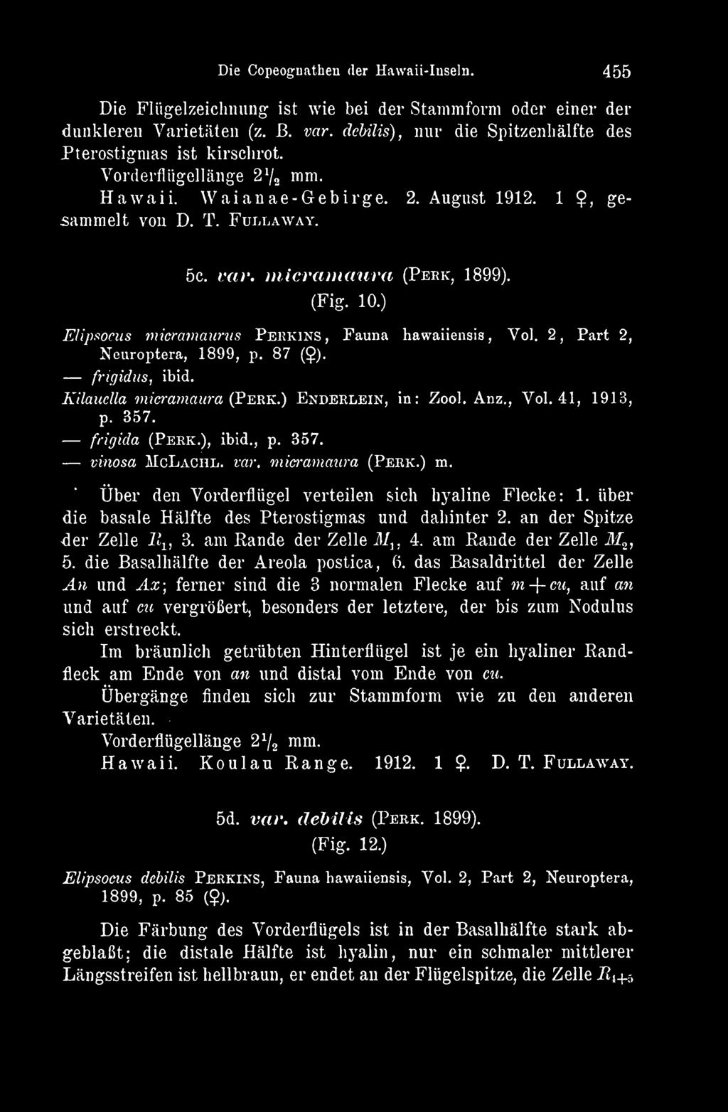 ) Elipsorus micramaiirus Perkins, Fauna hawaiiensis, Vol. 2, Part 2, Neuroptera, 1899, p. 87 (?). frigidus, ibid. Kilaudla m ieramaia-a (Perk.) Enderlein, in: Zool. Anz., Vol. 41, 1913, p. 357.