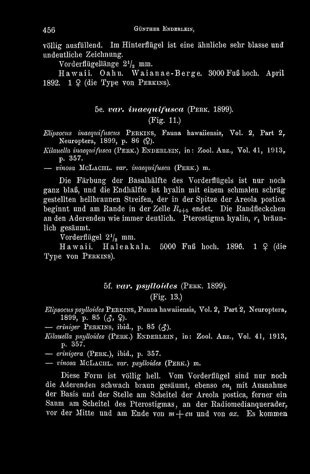 Kilauella inaequifusca (Perk.) Enderlein, in: Zool. Anz., Vol. 41, 1913,. p. 357. vinosa McLachl. var. inaequifusca (Perk.) m.
