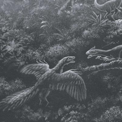 Wie konnten sich die Tiere im Urzeitwald vor fleischfressenden Dinos schützen? Es könnte sein, dass die Langhalssaurier ihre Jungen in die Mitte der Herde nahmen, wo sie besser geschützt waren.