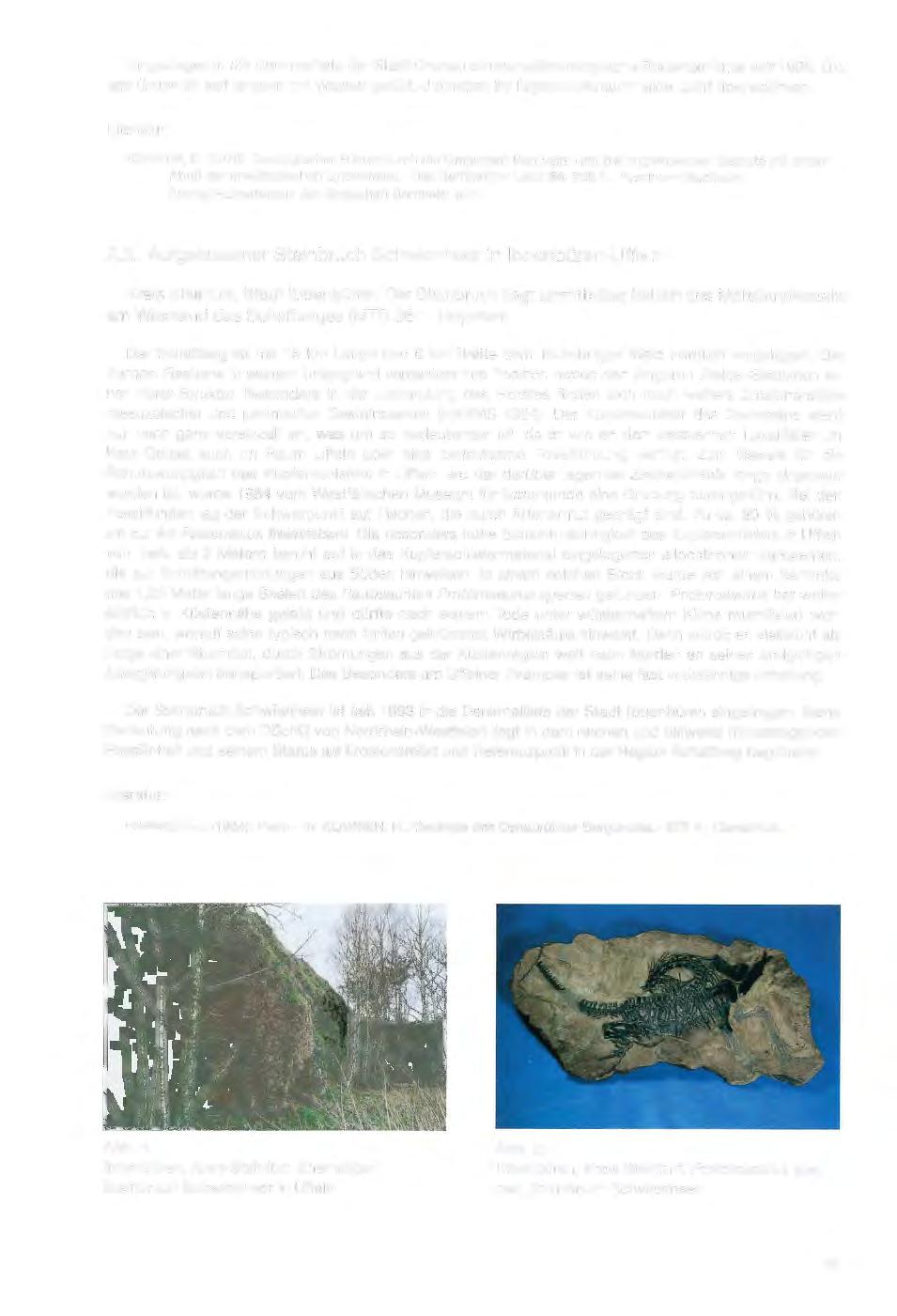 Eingetragen in die Denkmalliste der Stadt Gronau ist das paläontologische Bodendenkmal seit 1990.