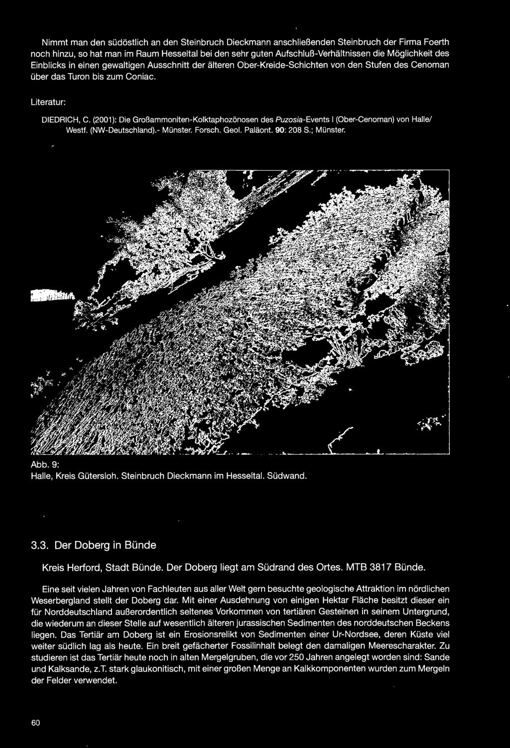 Eine seit vielen Jahren von Fachleuten aus aller Welt gern besuchte geologische Attraktion im nördlichen Weserbergland stellt der Doberg dar.