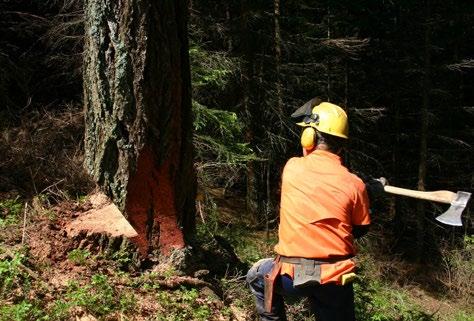 Forstunternehmer: die modernen Dienstleister in der Holzernte Forstunternehmer als Dienstleister Die Österreichischen Forstunternehmer sind ein starkes Bindeglied zwischen dem Urproduzenten und der