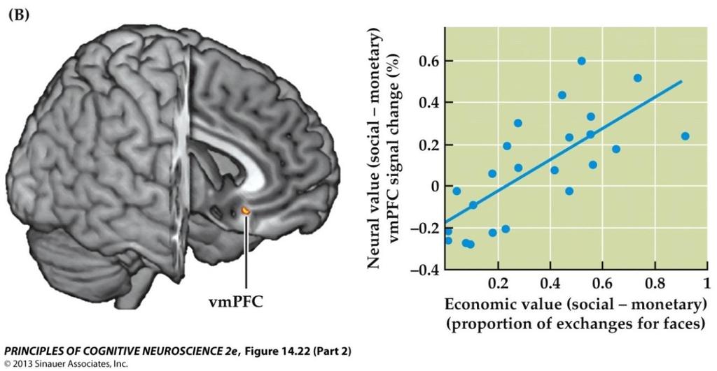 Wertsignale im vmpfc sagen die Bereitschaft vorher, für soziale Verstärker zu zahlen Smith et al (2010). J. Neurosc.