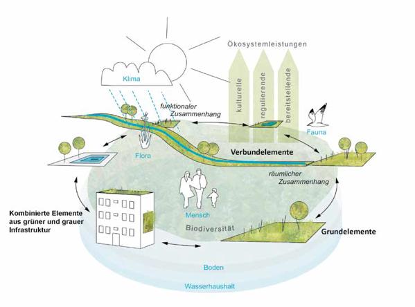 Urbane grüne Infrastruktur: Flächenkulisse Grüne Grundelemente + graue Potenzialflächen Netzwerk aus naturnahen und gestalteten Flächen und Elementen in Städten, die so geplant und unterhalten
