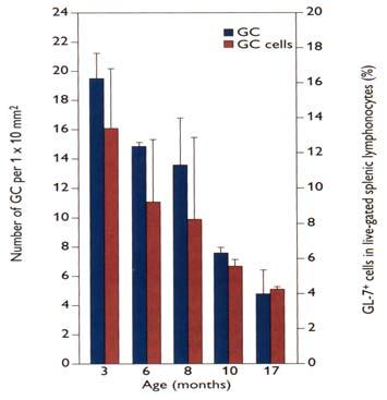 Veränderungen der B-Lymphozyten Zunahme im Knochenmark Abnahme in der Zirkulation Geringere Bildung von Keimzentren Zunahme CD5+ B-Zellen (Zusammenhang auch mit MGUS) Veränderungen der