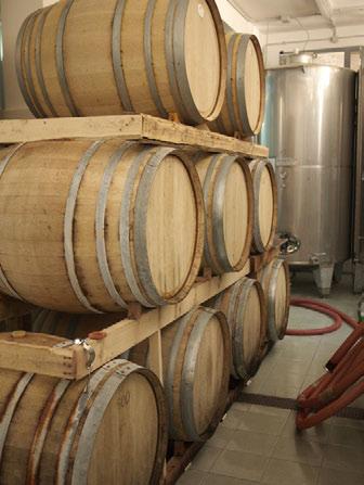 Neue WeiNsorteN roséwein Wird mit der Weintraubensorte Nero D Avola hergestellt werden. Der Verkauf ist in Weinflaschen und BIB vorhergesehen.