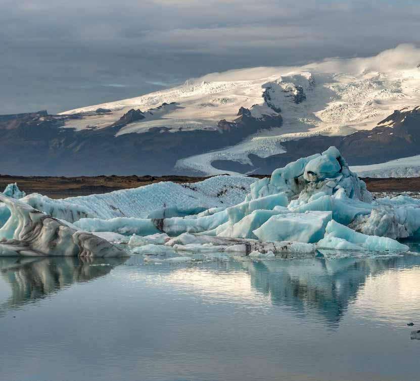 EIN GANZ BESONDERER GENUSS Dort wo der warme Golfstrom auf den klaren, kalten Grönlandstrom trifft, findet sich der Ursprung unserer Island Fischfilets und Loins.