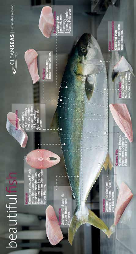 Der Einsatz modernster Zuchtmethoden unter Verzicht auf Antibiotika und Wachstumshormone, Verwendung von natürlichem Futter und minimale Besatzdichten garantieren einen Fisch, der zu den
