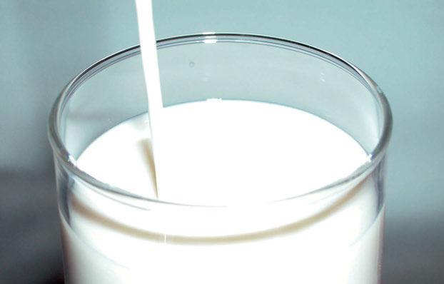 Milchprodukte? Die fettarmen! Auch die Herstellung von Milchprodukten ist sehr energieaufwendig und klimabelastend. Mit steigendem Fettgehalt verschlechtert sich die Klimabilanz.