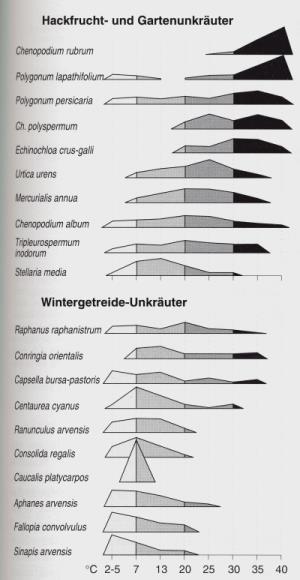 Temperaturabhängigkeit der Keimung Keimungsraten einiger in Sommerfrüchten und Gärten (oben) und im Wintergetreide (unten) wachsenden Ackerunkräutern bei konstant gehaltenen
