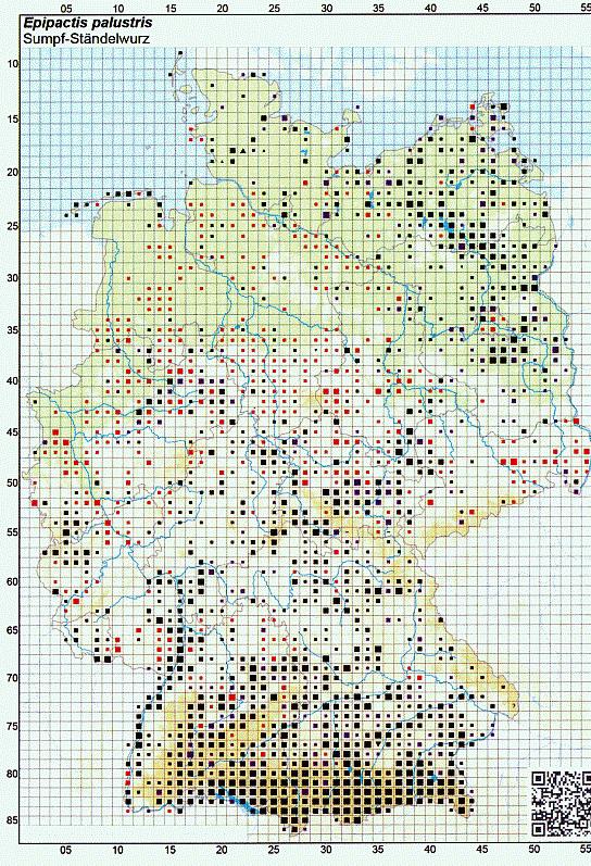 Nationale Florenatlaswerke: Datengrundlage: Die Floristische Kartierung Deutschlands ist ein