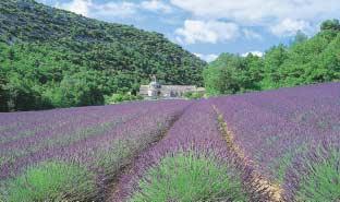 Provence - Wanderreise Von der Hochprovence zur Provence d Azur Über die Osterfeiertage: sechs herrliche Reisetage mit vorwiegend leichten Wanderungen durch das Rhonetal - Gard - Bouches du Rhône -