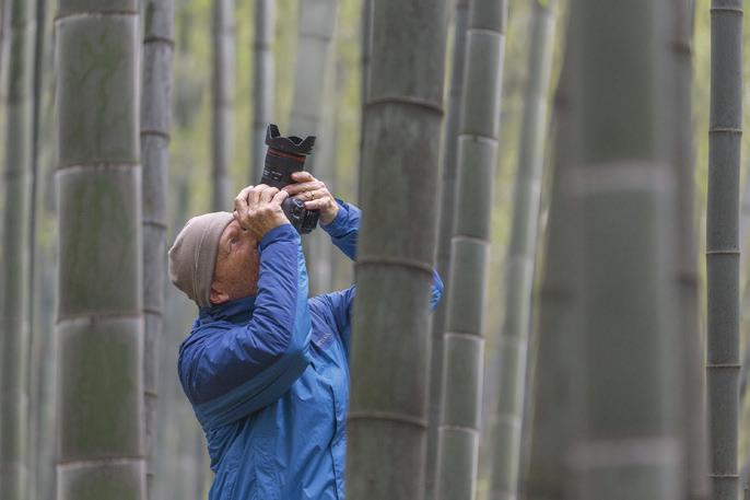 Bild D Auf China waren wir besonders gespannt. So große Bambuswälder hatten wir vorher noch nicht gesehen. Die hoch aufragenden Halme des Bambus ergeben wunderbar grafische Muster.