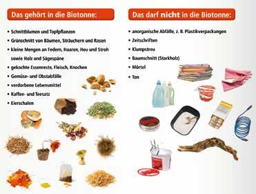Für die richtige Entsorgung dieser sogenannten organischen Abfälle stehen in Schwerin die Braunen Tonnen zur Verfügung. Auf dieser Tafel seht ihr, was alles in die Biotonne gehört.