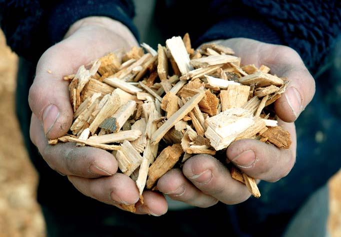 // HEIZEN IM KREISLAUF DER NATUR Zur Wärmeerzeugung nutzen wir natur belassendes Restholz oder Waldhackschnitzel aus der Region in Form von Holzhackschnitzeln. Holz ist eine heimische Energiequelle.