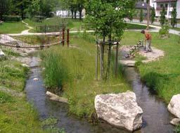 Gewässer verbinden Lebensräume in Stadt und Land Gewässer