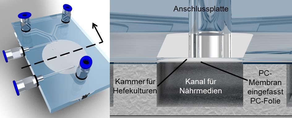 6 Sonstige Mikrosysteme Abbildung 6.1: Erste Version des Bioreaktors zur Züchtung und Untersuchung von Bäckerhefe und dessen Schnittdarstellung.