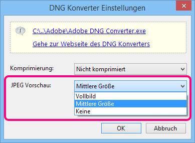 komprimierungseinstellungen im DNG- Konverter Komprimiert Die RAW-Daten werden in der DNG-Datei komprimiert. Nicht komprimiert Es wird keine Komprimierung vorgenommen.