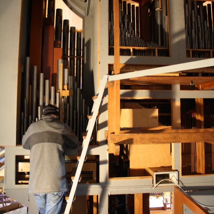 Die Orgelrenovierung in St. Petri hat begonnen Nach langen Jahren, in denen unsere Orgel treu ihren Dienst tat, ist sie nun in die Jahre gekommen.