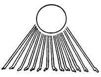 - 8 - Aton (Baedecker, S. 28) Thot (Ägyptische Hochkultur IV) Sobek (Pharaonenreiche, S. 83) Ma at (Rückspiegel, S. 68) Aton Aton wurde als Sonnenscheibe dargestellt.