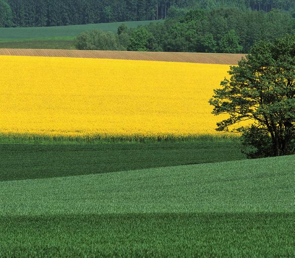3Agrarstruktur oto: CMA - Bestes vom Bauern Agrarstruktur - Arbeitsverhältnisse in der deutschen Landwirtschaft (2007) Voll- und