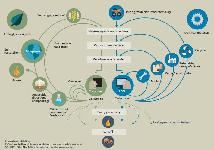 Auch die Ellen MacArthur Foundation (2013) betten die Kaskadennutzung von Biomasse in ein Gesamtkonzept der Kreislaufwirtschaft ( Circular Economy ) schematisch ein.