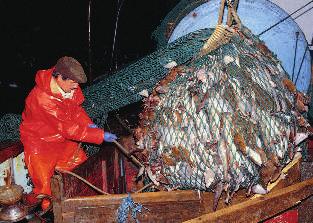 VI Globale Fragen Beitrag 20 Fischfang im Nordatlantik (Kl.