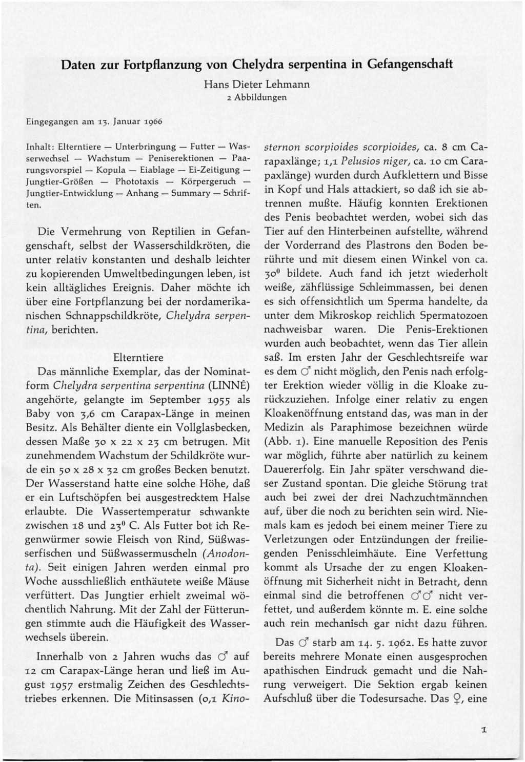 Daten zur Fortpflanzung von Chelydra serpentina in Gefangenschaft Hans Dieter Lehmann 2 Abbildungen Eingegangen am 13.