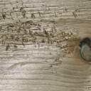 Imprägniertes Holz: Salzausblühungen Bei der Kesseldruckimprägnierung dringen Kupfersalze tief in das Holz ein und schützen es vor Schimmel und Insektenbefall.