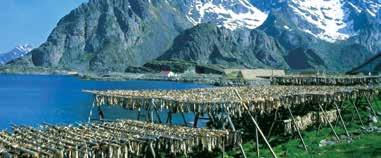 Mit den Hurtigruten erleben Sie Norwegen wie mit keinem anderen Verkehrsmittel: Wie ein Film ziehen vor den komfortablen Panorama-Salons grandiose Landschaften, malerische Küsten und einsame