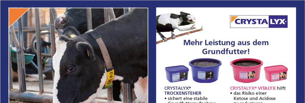 Die höchsten Herdendurchschnittsleistungen Nr. Besitzer PLZ Ort Ø ND Milch kg Fett % Fett kg Eiw. % Eiw. kg F+E kg Gruppe über 200,0 Kühe 1. Koch & Partner, GbR 49179 Ostercappeln-Niewedde 28,2 12.