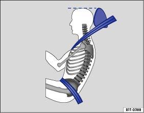 Die Kopfstützen müssen richtig eingestellt sein, damit die optimale Schutzwirkung erreicht wird Seite 117.