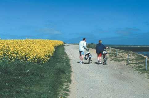 Übernachtungsverzeichnis in diesem Buch finden Sie alles, was Sie zu einer Radtour entlang der schleswig-holsteinischen Nordseeküste benötigen.