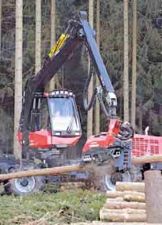 Schwerpunkt von Grün Team ist von Anfang an Aufforstung, Pflanzenlieferung und Landschaftsbau. Daraus ging im März 2006 die Grün Team Pflanzen KG hervor.