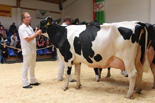 Deutsche Holsteins Thüringer Landesschau Ein voller Erfolg! Eine noch nie dagewesene Beteiligung von ausstellenden Betrieben machte die 5. Landestierschau am 17.