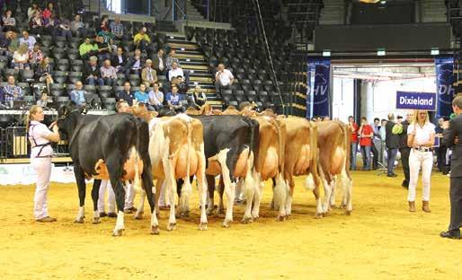 Deutsche Holsteins Deutsche Holsteinschau 2015 in Oldenburg Am 11. Juni fand in Oldenburg die Deutsche Holsteinschau statt.