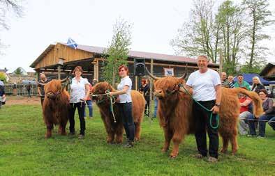 Fleischrinderzucht Schottisches Wochenende in Prießnitz Am zweiten Maiwochenende veranstaltete der VDHC nunmehr zum vierten Male das Mitteldeutsche Highlandchampionat, eingebettet in die Highland