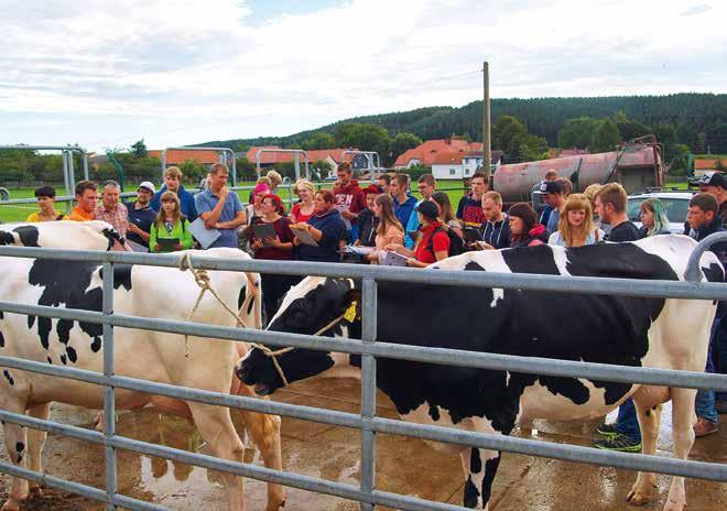 Wir möchten uns beim Landesverband Thüringer Rinderzüchter, bei allen Jungzüchtern und ausstellenden Betrieben sowie Helfern recht herzlich bedanken.