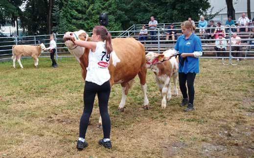 Jungzüchter Bundeswettbewerb der Fleischrinder-Jungzüchter Vom 14. bis 16. August 2015 fand der Bundeswettbewerb der Jungzüchter (Fleischrinder) im Rahmen des Gäubodenfestes in Straubing statt.