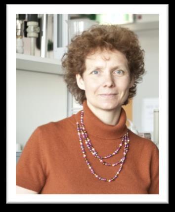 Frauenbeauftrage Prof. Dr.-Ing. Katina Warendorf Dr.