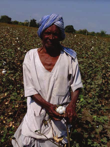 Effekte von Bt-Baumwolle in Indien Ergebnisse mit Paneldaten Pestizideinsatz -41% Ertrag +24%