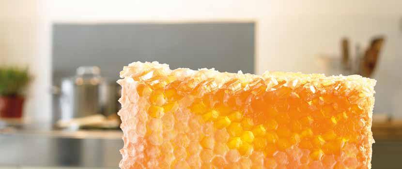 Unterrichtsbaustein Primarstufe D.I.B. e. V. Flüssiges Gold Honig als Lebensmittel Die größte Leistung der Bienen für die Natur und uns Menschen ist ihre Bestäubungstätigkeit.