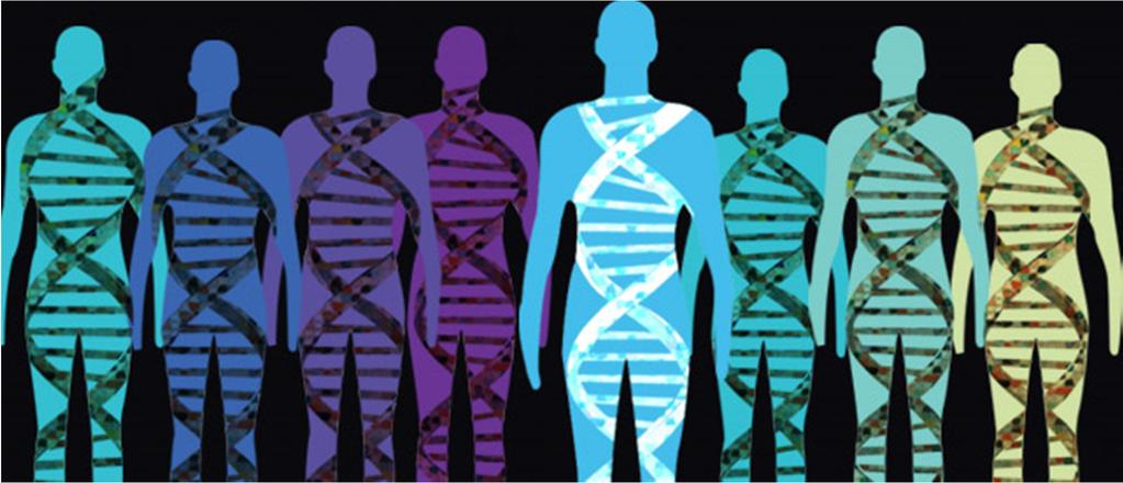 Universitätsinstitut für Klinische Chemie Genetische Variabilität des Menschen ca.