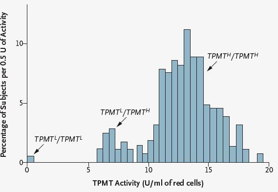 Thiopurine S methyltransferase (TPMT) TPMT catalyses the S methylation of thiopurine drugs (azathioprine, mercaptopurine, thioguanine) => inactivation Used to treat acute lymphoblastic leukaemia of