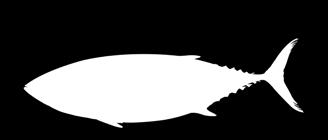 Bückling und Hering Fangmethoden: Ringwaden und Angeln Fanggebiet: Nordostatlantik Die Bücklinge sind geräucherte Heringe. Heringe sind nahrhafte Fische, reich an Omega-3-Fettsäuren.