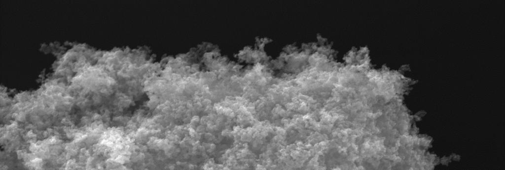 Nano-Titandioxid viele Prüfergebnisse (vgl.