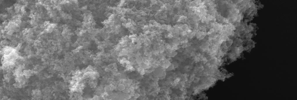 nanoskalige Formen etwas toxischer als mikroskalige