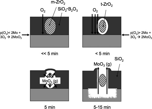 6 Mikro- und Makrolegierungseffekte Zur Beschreibung der durch die mechanische Komponente der Phasenumwandlung hervorgerufenen Effekte auf das Oxidationsverhalten verdeutlicht Abbildung 6.