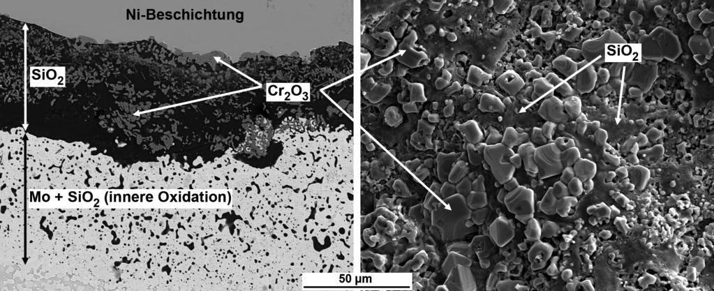 6 Mikro- und Makrolegierungseffekte Abbildung 6.20: REM-Mikrostruktur der Legierung Mo-9Si-8B-5Cr nach Oxidation in Luft über 72 h bei 1300 C: Querschliffaufnahme (links) und Oberfläche (rechts).