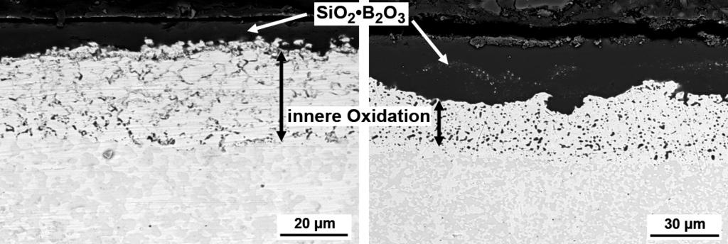 Auch bei 820 C bilden sich in den ersten Minuten der Oxidation infolge Kondensation MoO 3 -Kristallite auf der Probenoberfläche, während simultan eine merkliche SiO 2 -Bildung stattfindet, welche die
